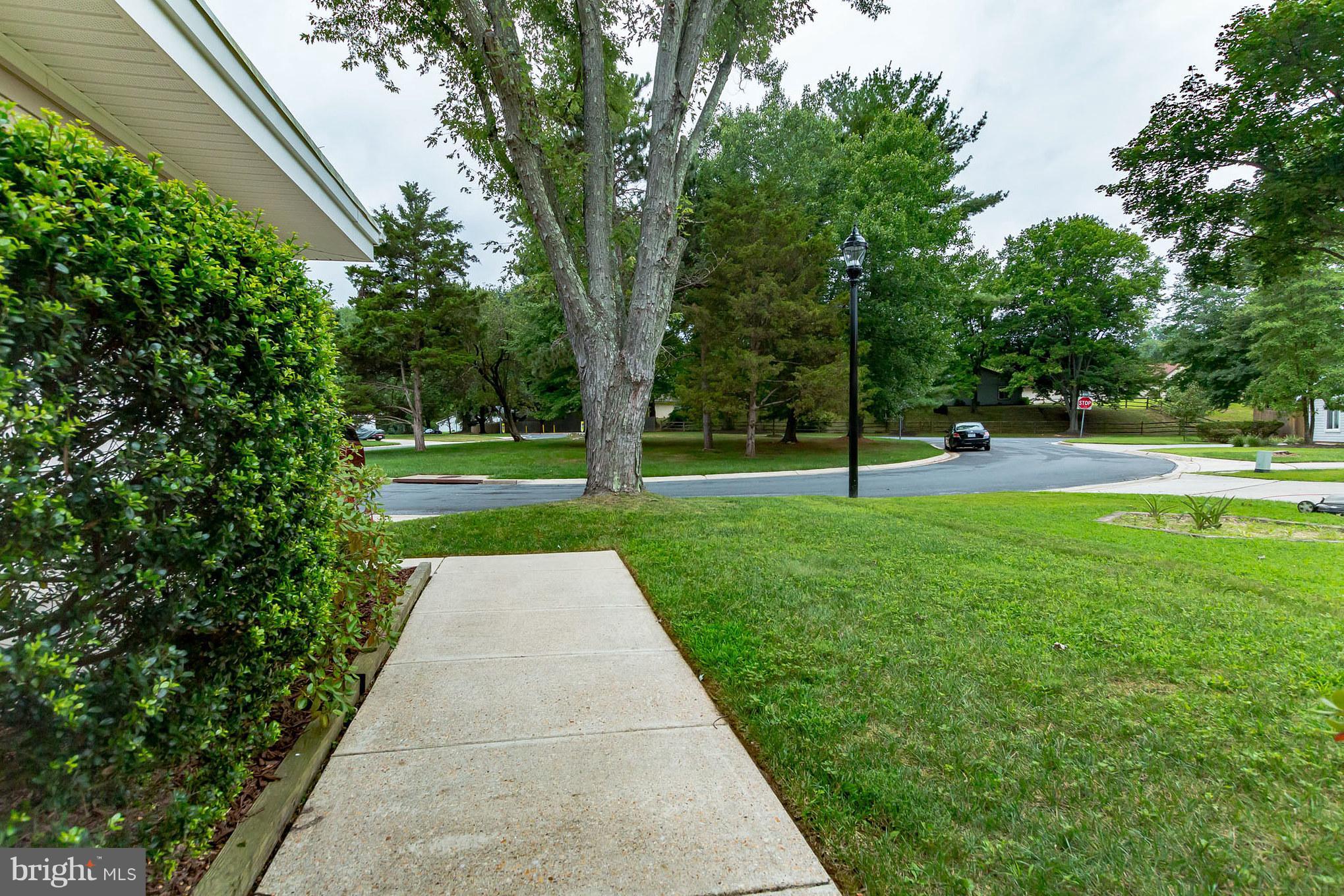 2809 Homecrest Circle Silver Spring, MD 20906 - Photo 3 of 31 Front walkway and green space in front