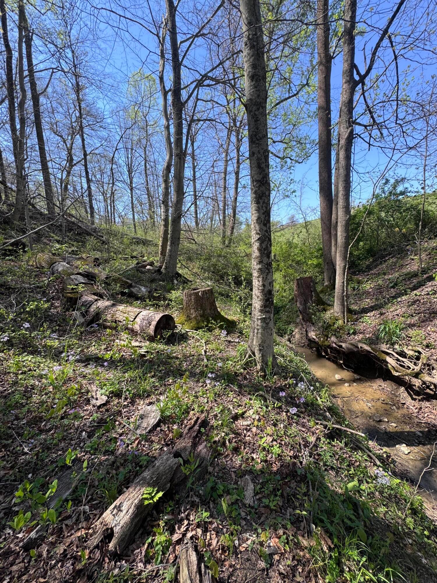 397 South Elliott Road Malta, OH 43758 - Photo 22 of 37 IMG_5539