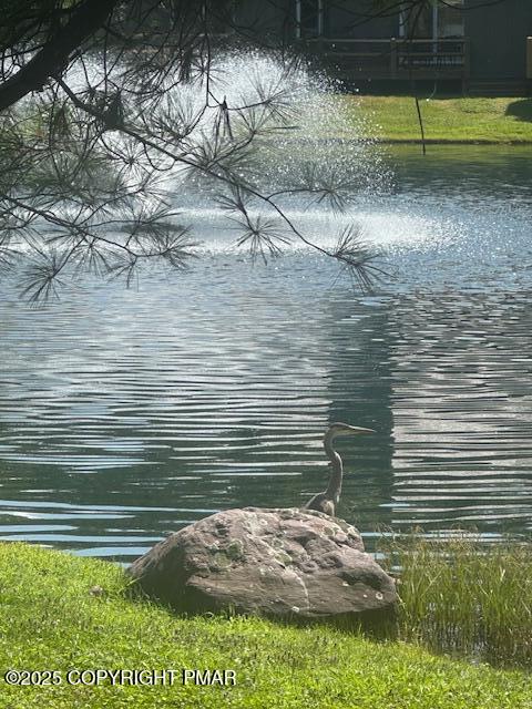 116 Snow Ridge Cir Lake Lake Harmony, PA 18624 - Photo 20 of 59 Fountains on Mill Pond