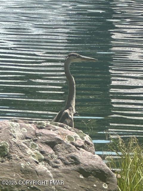 116 Snow Ridge Cir Lake Lake Harmony, PA 18624 - Photo 21 of 59 Heron on Mill Pod