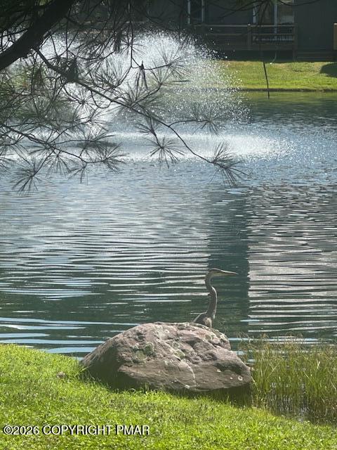 116 Snow Ridge Cir Lake Lake Harmony, PA 18624 - Photo 63 of 66 Fountains on Mill Pond