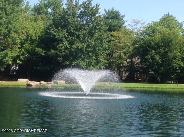 116 Snow Ridge Cir Lake Lake Harmony, PA 18624 - Photo 65 of 66 Fountains