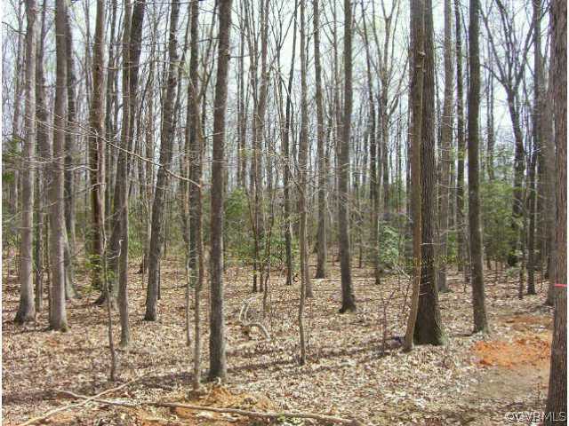 1440 Stavemill Road Powhatan, VA 23139 - Photo 2 of 3 Other - Back Yard From Deck