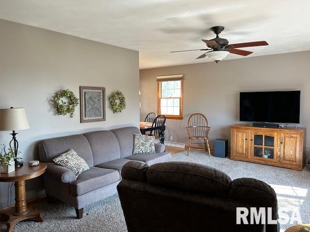 1119 3rd Avenue Fulton, IL 61252 - Photo 15 of 30