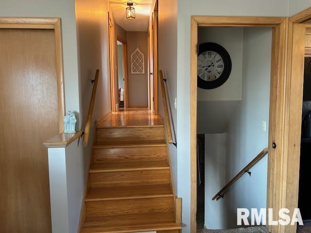 1119 3rd Avenue Fulton, IL 61252 - Photo 18 of 30