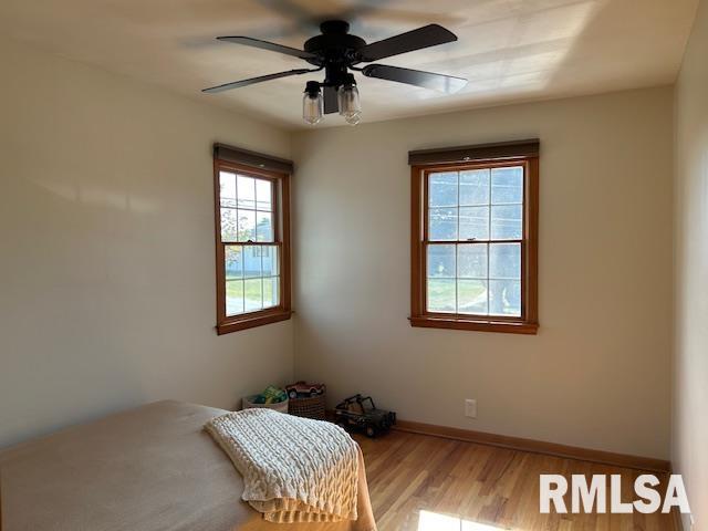 1119 3rd Avenue Fulton, IL 61252 - Photo 21 of 30