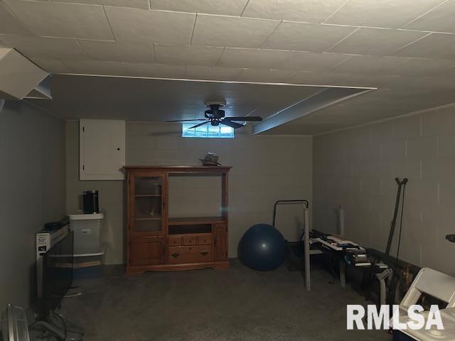 1119 3rd Avenue Fulton, IL 61252 - Photo 30 of 30