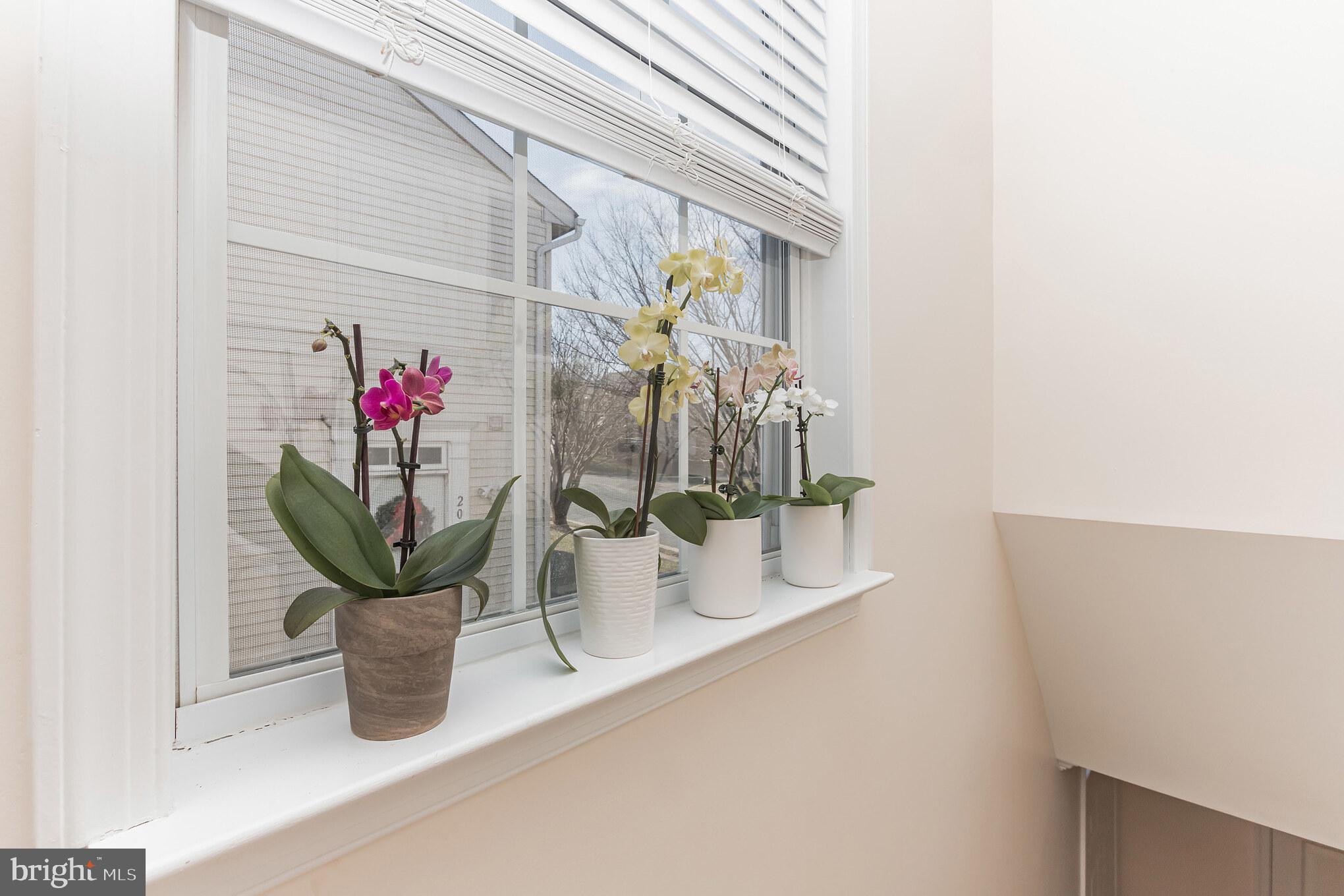 20449 River Ripple Square Sterling, VA 20165 - Photo 21 of 28