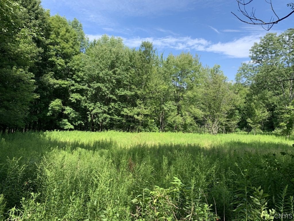 0 Rohr Hill Road West Valley, NY 14171 - Photo 1 of 1 Gallery Image 1
