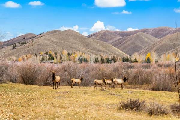 $1,495,000 | 15 Buck Lane, Sun Valley, ID 83353