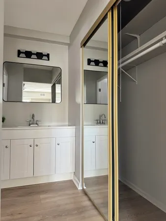 a bathroom with a sink and a mirror
