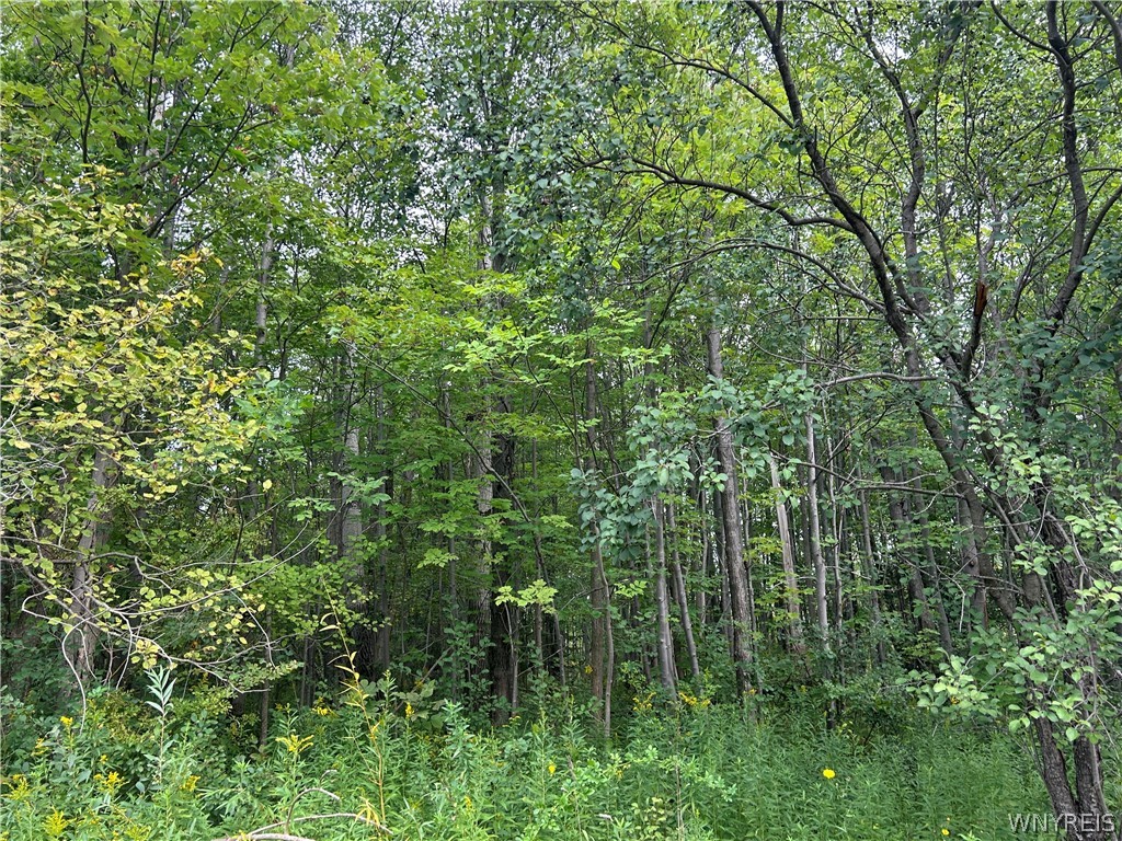 0 Tinkham Road Attica, NY 14011 - Photo 19 of 19 Gallery Image 19