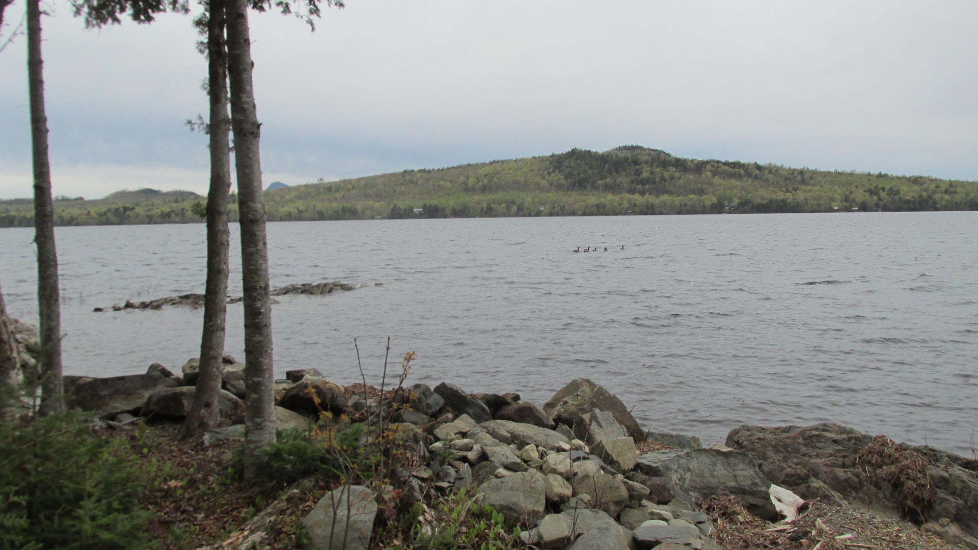 268 Timberland Road Greenville, ME 04441 - Photo 12 of 24 IMG_0316