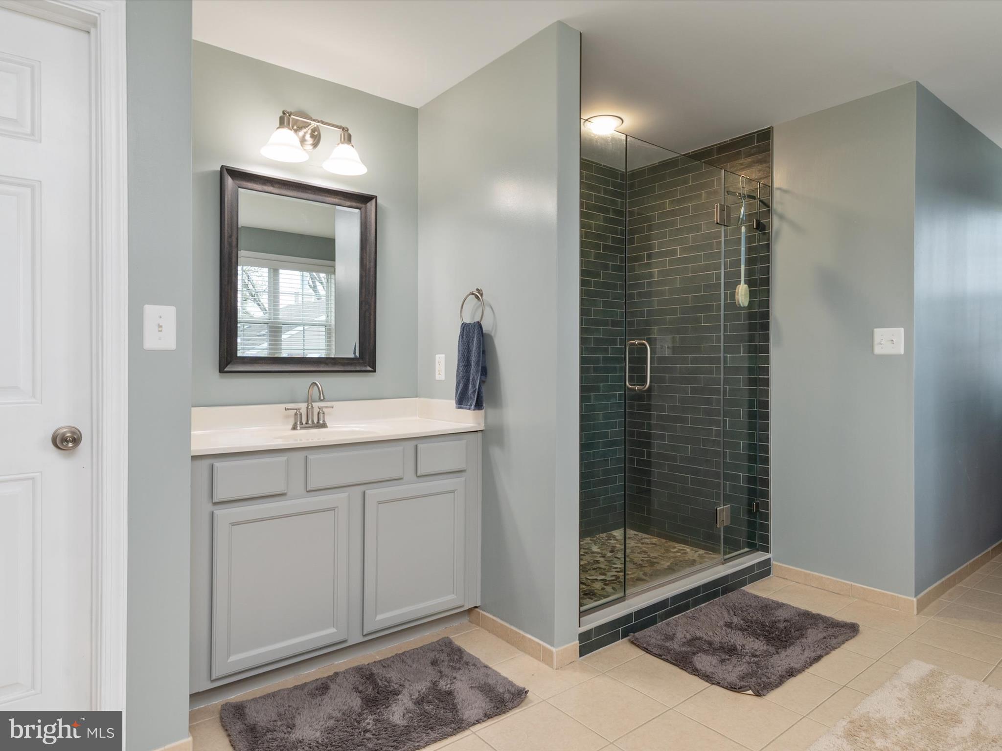 688 Red Cedar Road Annapolis, MD 21409 - Photo 34 of 54 a bathroom with a shower sink and mirror