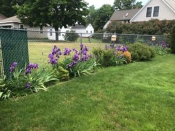 18 Page Street Shirley, MA 01464 - Photo 39 of 41 a view of a flower in front of house