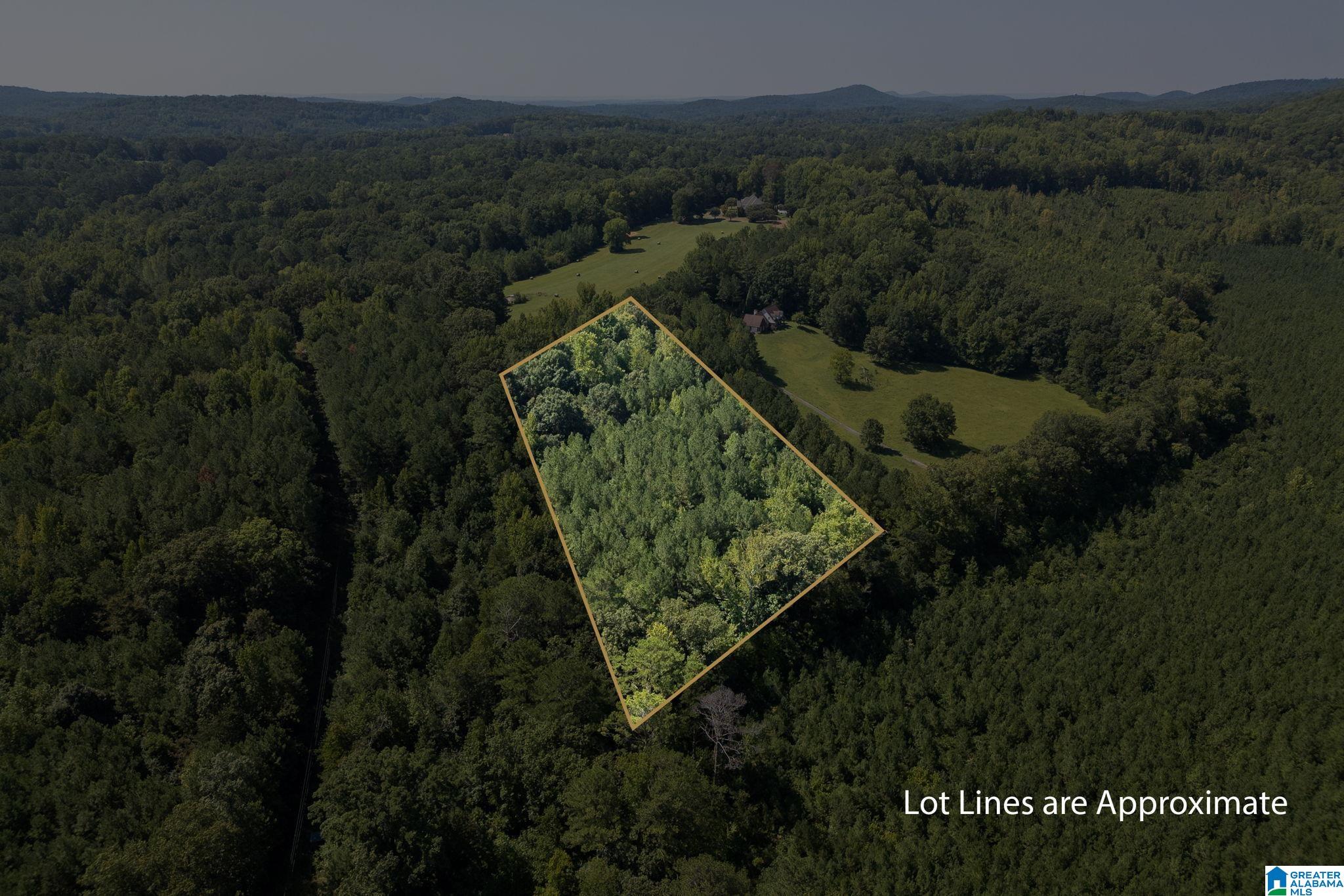 9111 Cedar Mountain Road, Unit 9111 Pinson, AL 35126 - Photo 7 of 24