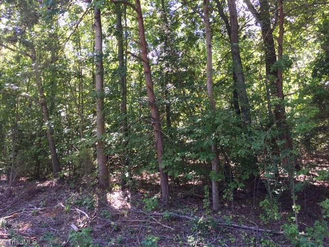 Lot 17 Beckner Road Lexington, NC 27292 - Photo 2 of 2 Gallery Image 2
