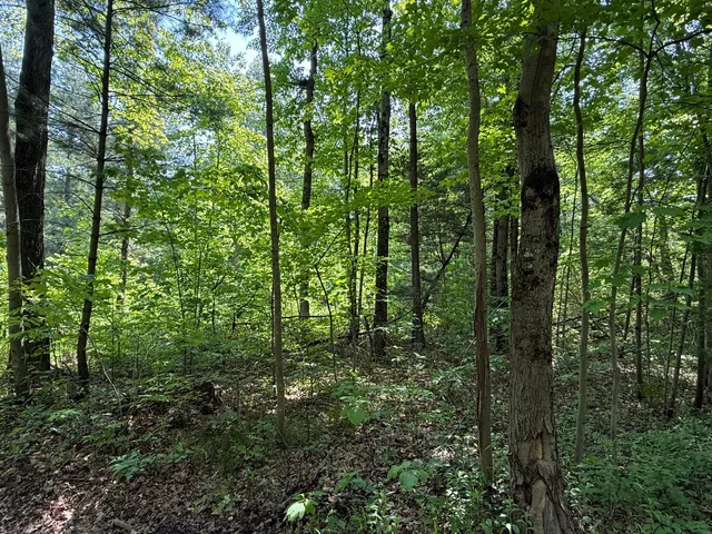 $199,900 | 0 Austin Road, Twin Lake, MI 49457