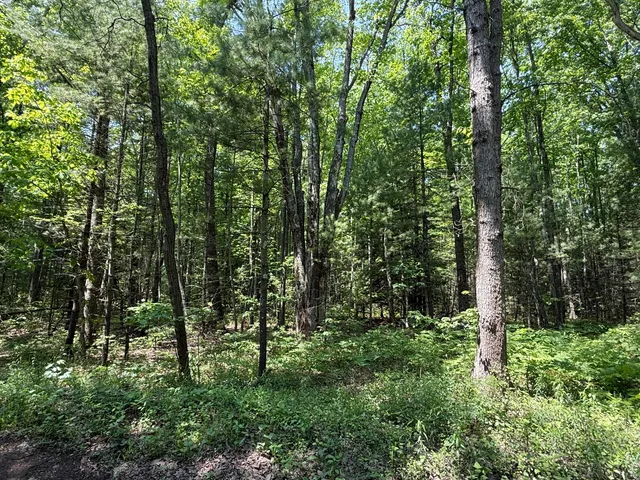 $199,900 | 0 Austin Road, Twin Lake, MI 49457