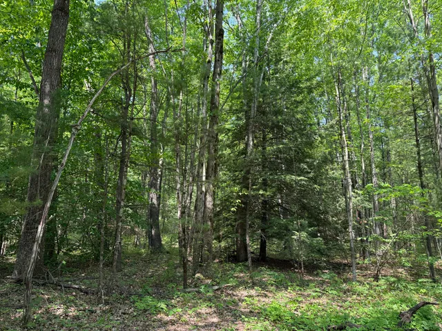 $199,900 | 0 Austin Road, Twin Lake, MI 49457