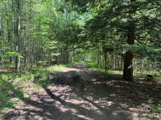 $199,900 | 0 Austin Road, Twin Lake, MI 49457