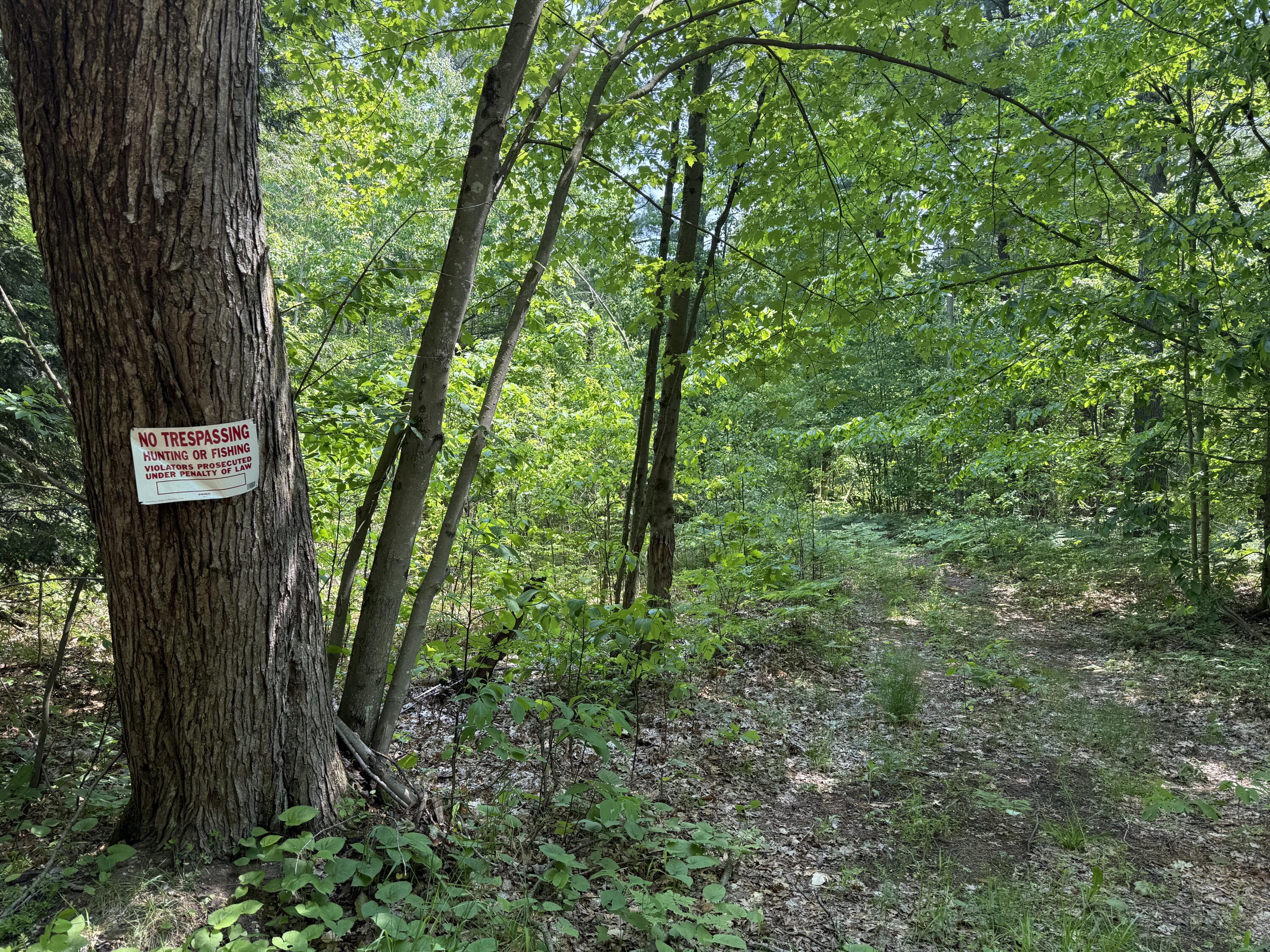 0 Austin Road Twin Lake, MI 49457 - Photo 9 of 11 IMG_8091