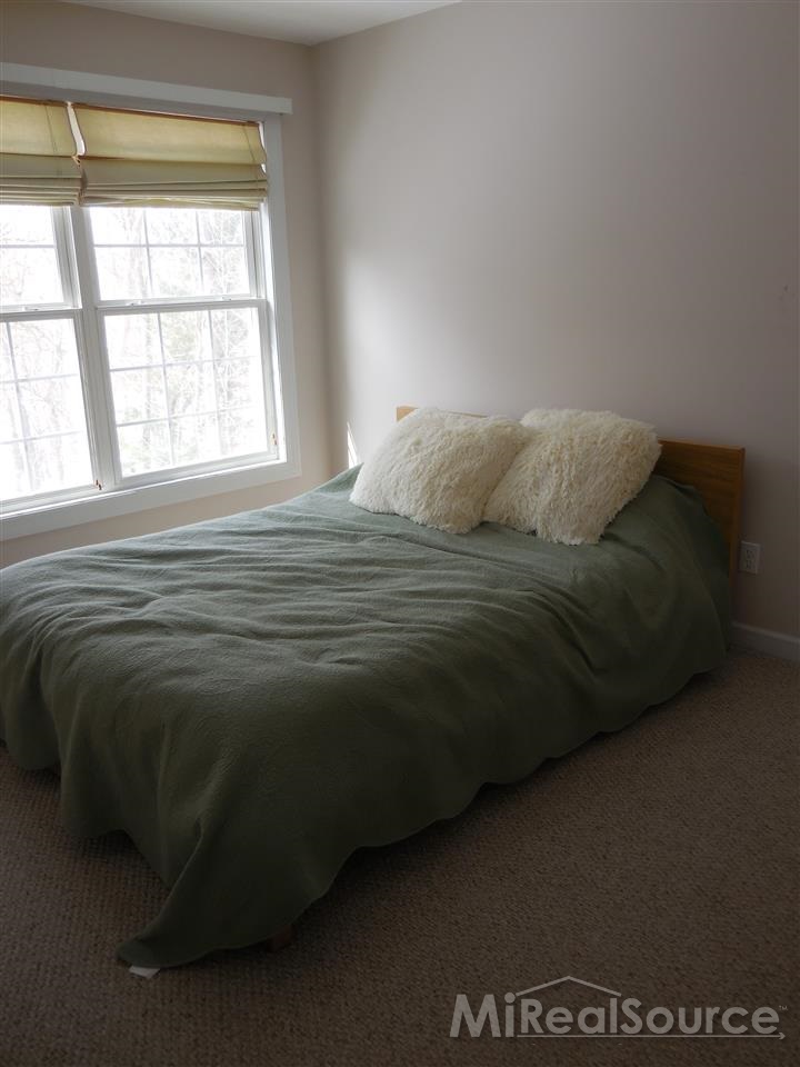 3242 Sutton Road Dryden, MI 48428 - Photo 14 of 25