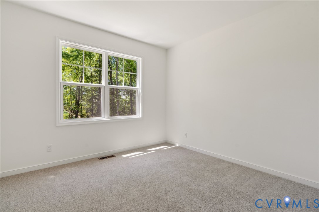 3953 Robins Ridge Drive Moseley, VA 23120 - Photo 14 of 25