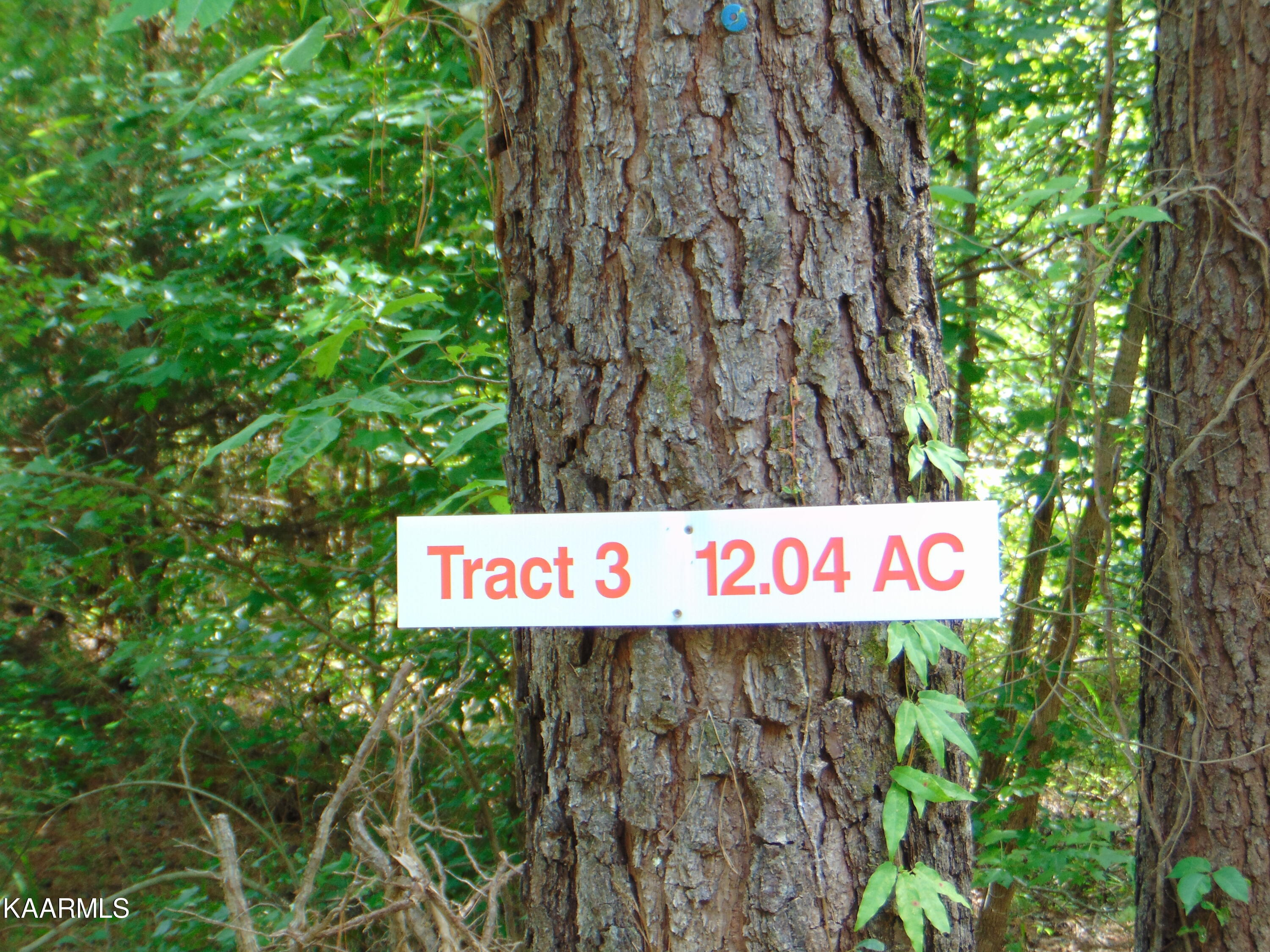 3 Charles Road Decatur, TN 37322 - Photo 2 of 8 TR 3 Charles sign