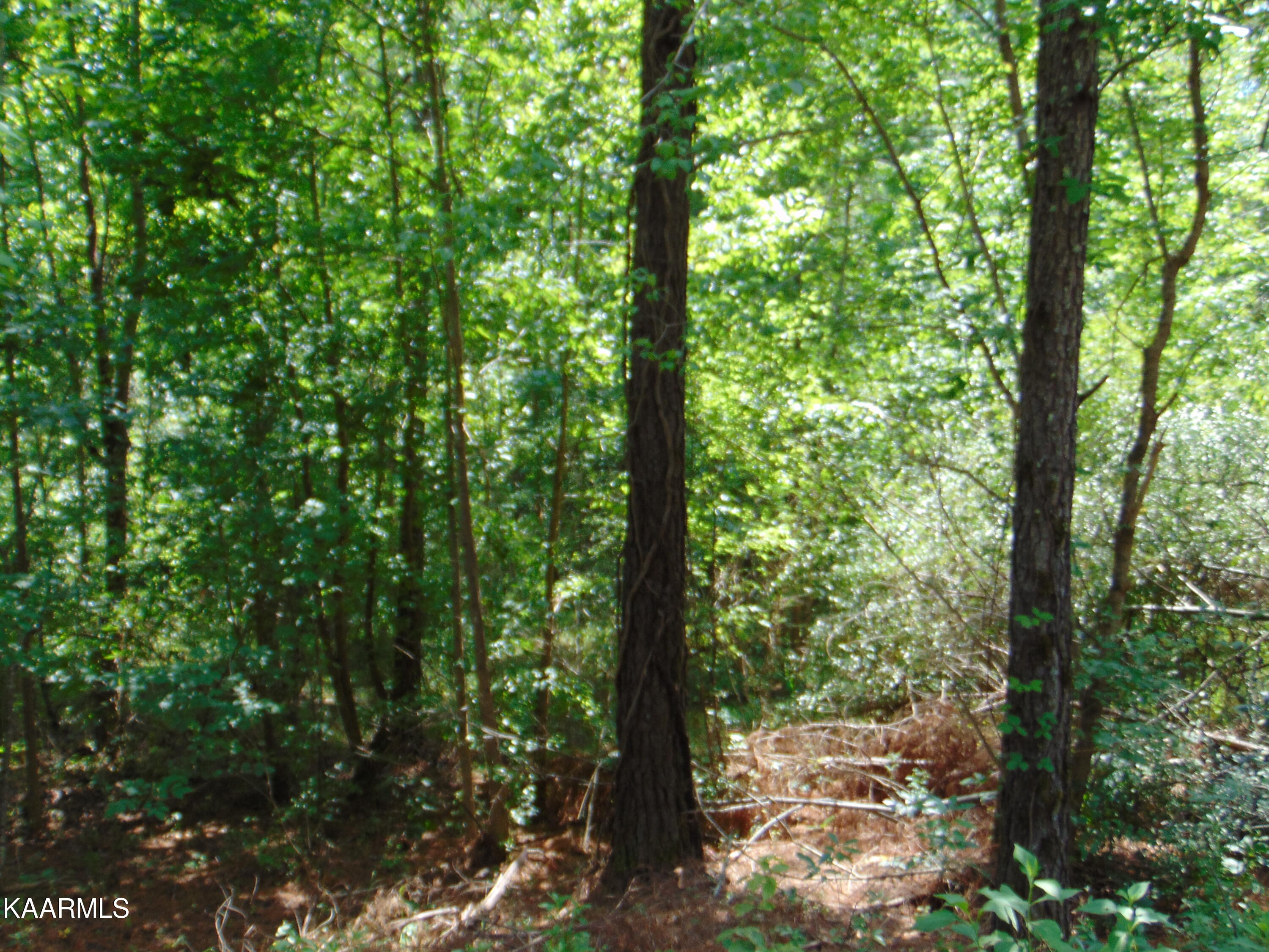 3 Charles Road Decatur, TN 37322 - Photo 4 of 8 TR 3 Charles 1