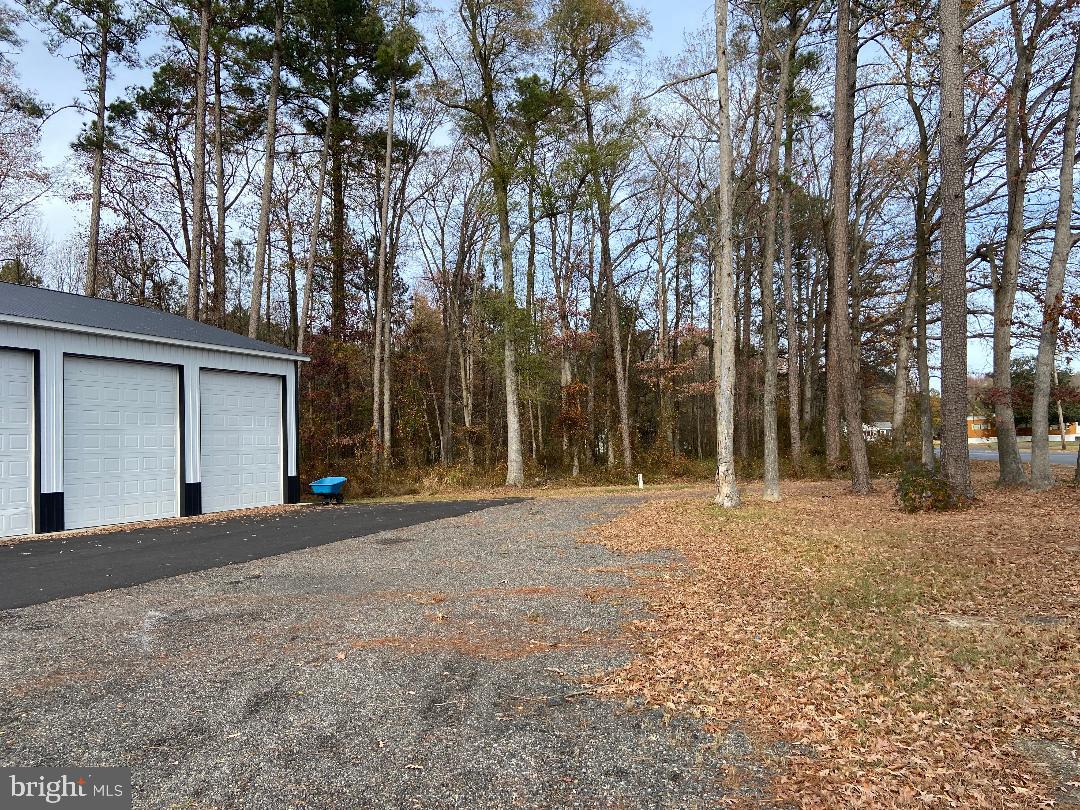 2903 Cattail Branch Road Harrington, DE 19952 - Photo 3 of 20 Gallery Image 3