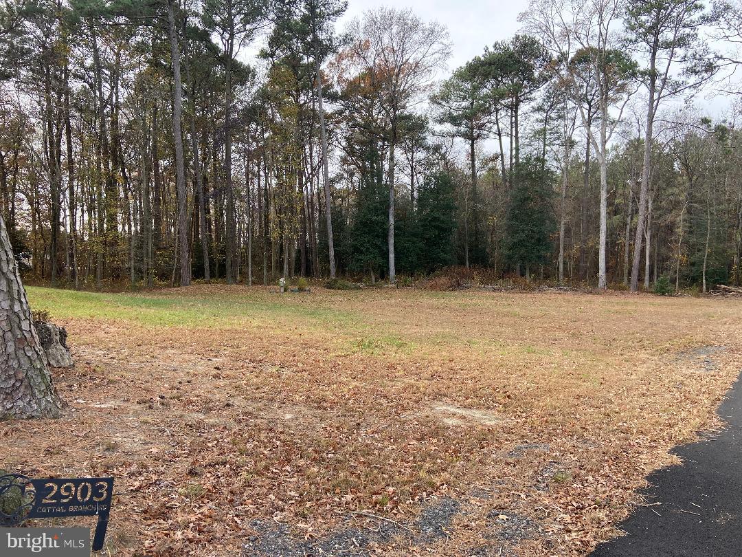 2903 Cattail Branch Road Harrington, DE 19952 - Photo 9 of 20 Gallery Image 9