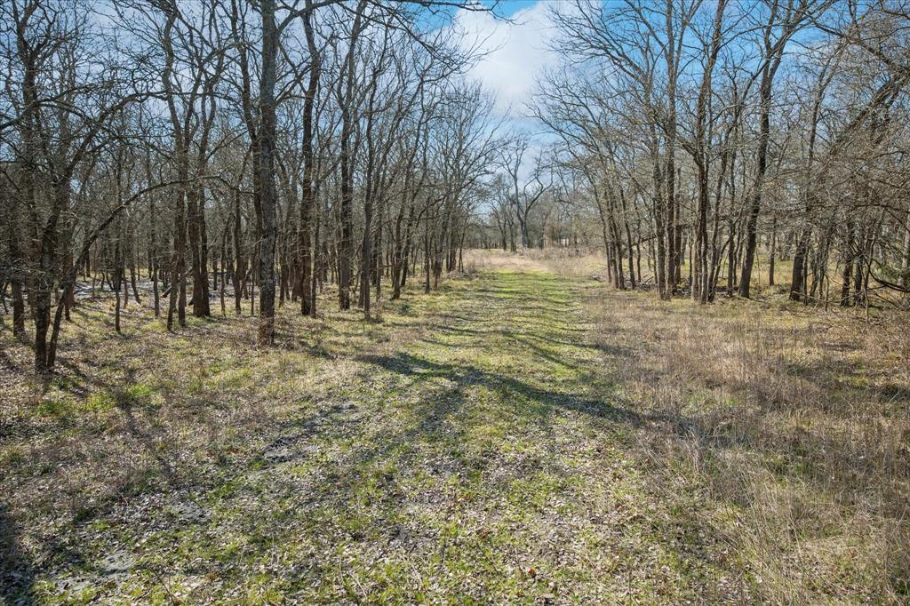 1100 Highpoint Road Royse City, TX 75189 - Photo 12 of 22 a view of dirt field with trees