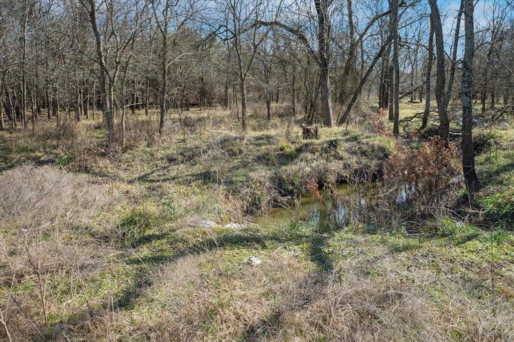 1100 Highpoint Road Royse City, TX 75189 - Photo 14 of 22 a view of a yard with large trees