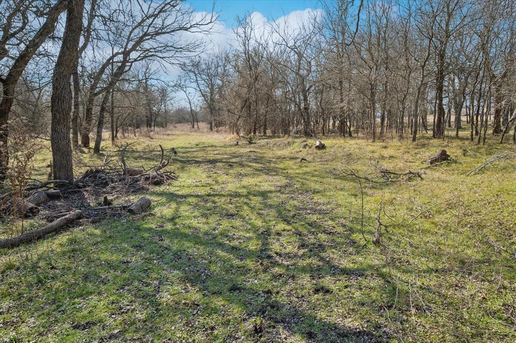 1100 Highpoint Road Royse City, TX 75189 - Photo 15 of 22 a view of outdoor space with trees