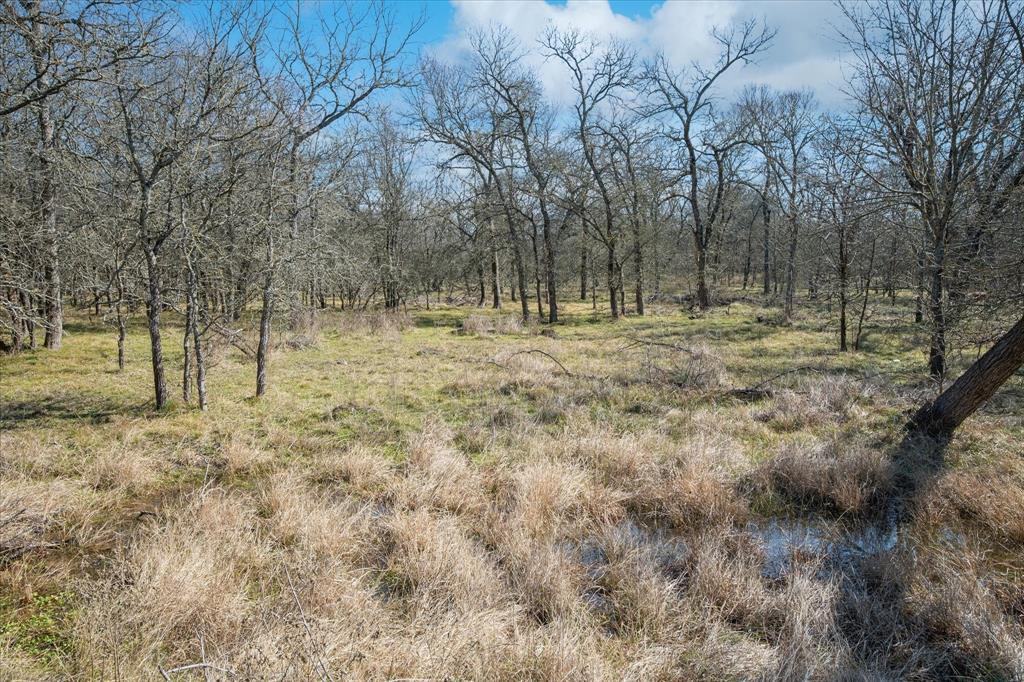 1100 Highpoint Road Royse City, TX 75189 - Photo 16 of 22 a view of a yard with large trees