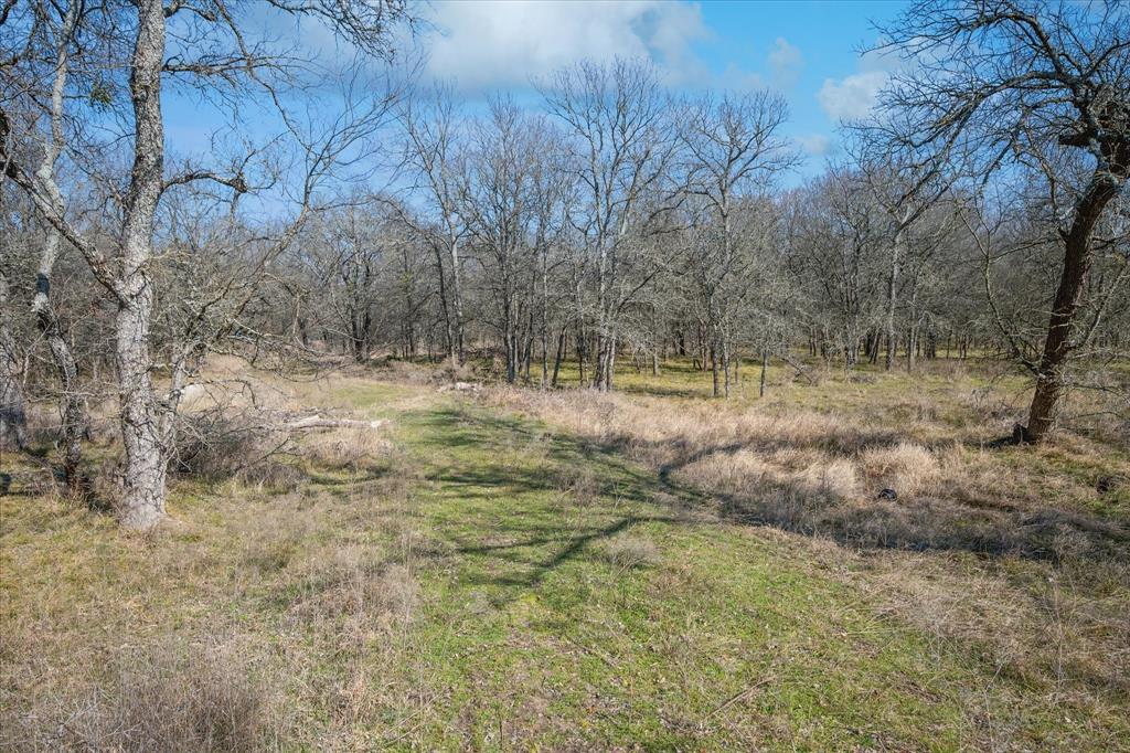 1100 Highpoint Road Royse City, TX 75189 - Photo 17 of 22 a view of outdoor space with trees all around