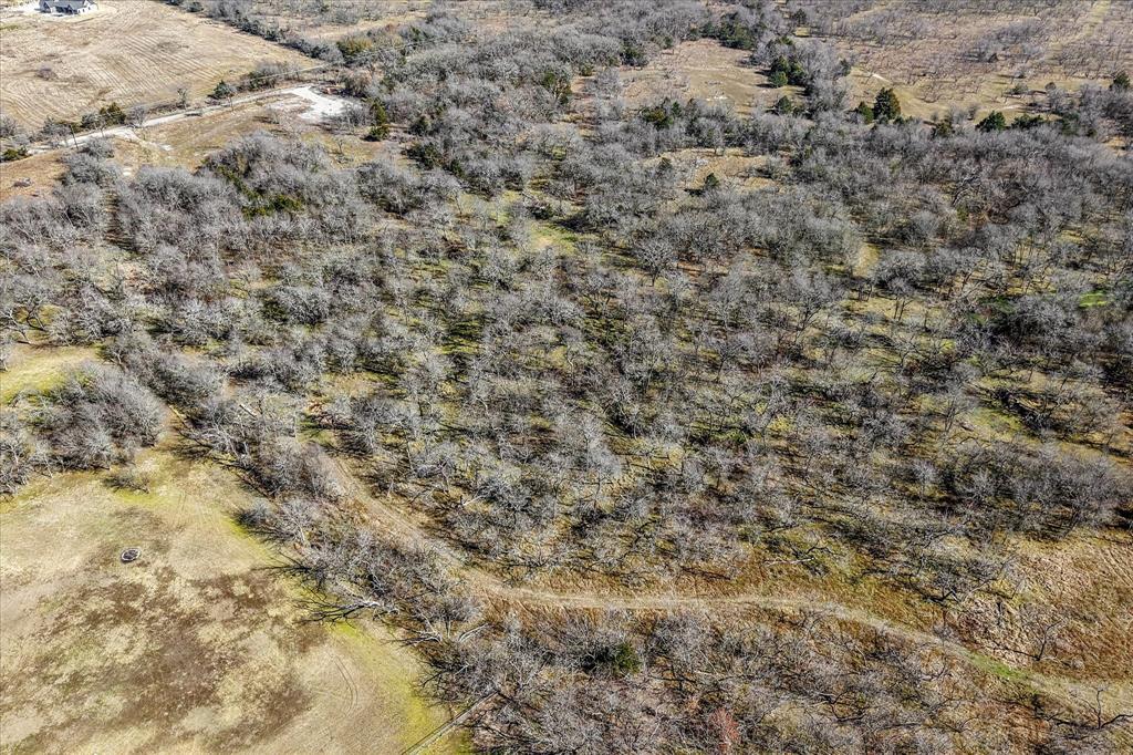 1100 Highpoint Road Royse City, TX 75189 - Photo 5 of 22 a close view of forest