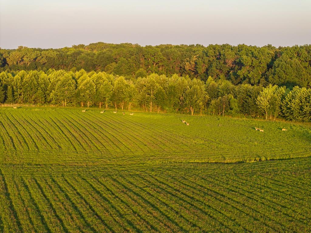 16223 701 County Road Northwest Archie, MO 64725 - Photo 15 of 91