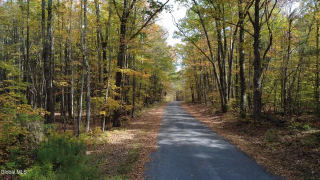 $99,000 | L1 Welch Road, Jefferson, NY 12093