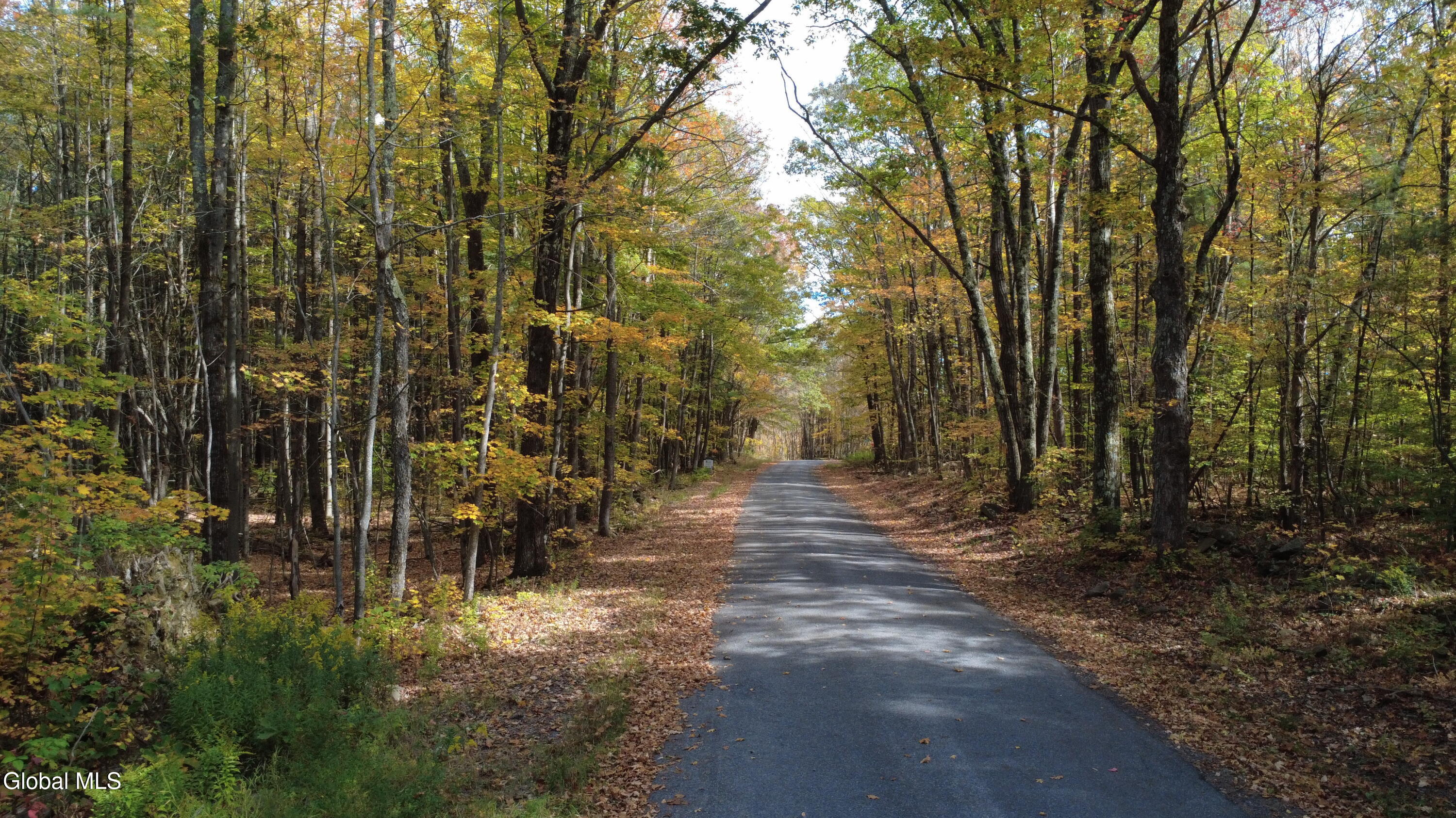 L1 Welch Road Jefferson, NY 12093 - Photo 11 of 15 DJI_0183