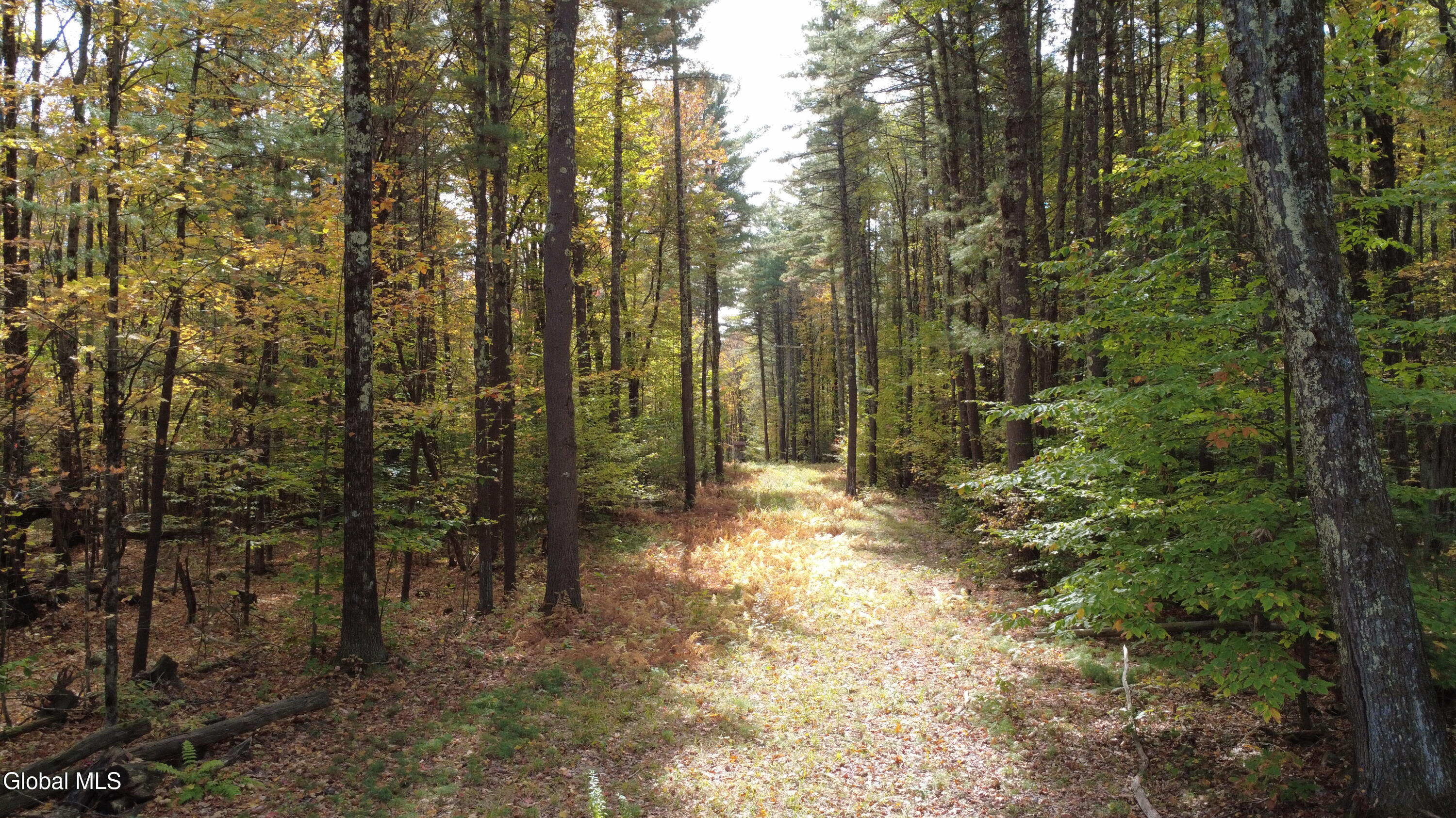 L1 Welch Road Jefferson, NY 12093 - Photo 12 of 15 DJI_0185