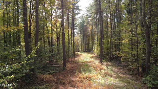 $99,000 | L1 Welch Road, Jefferson, NY 12093