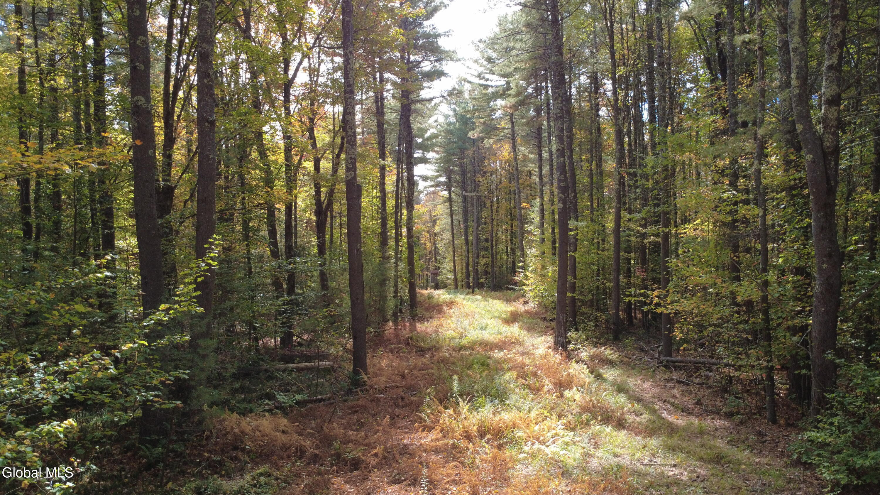 L1 Welch Road Jefferson, NY 12093 - Photo 13 of 15 DJI_0186