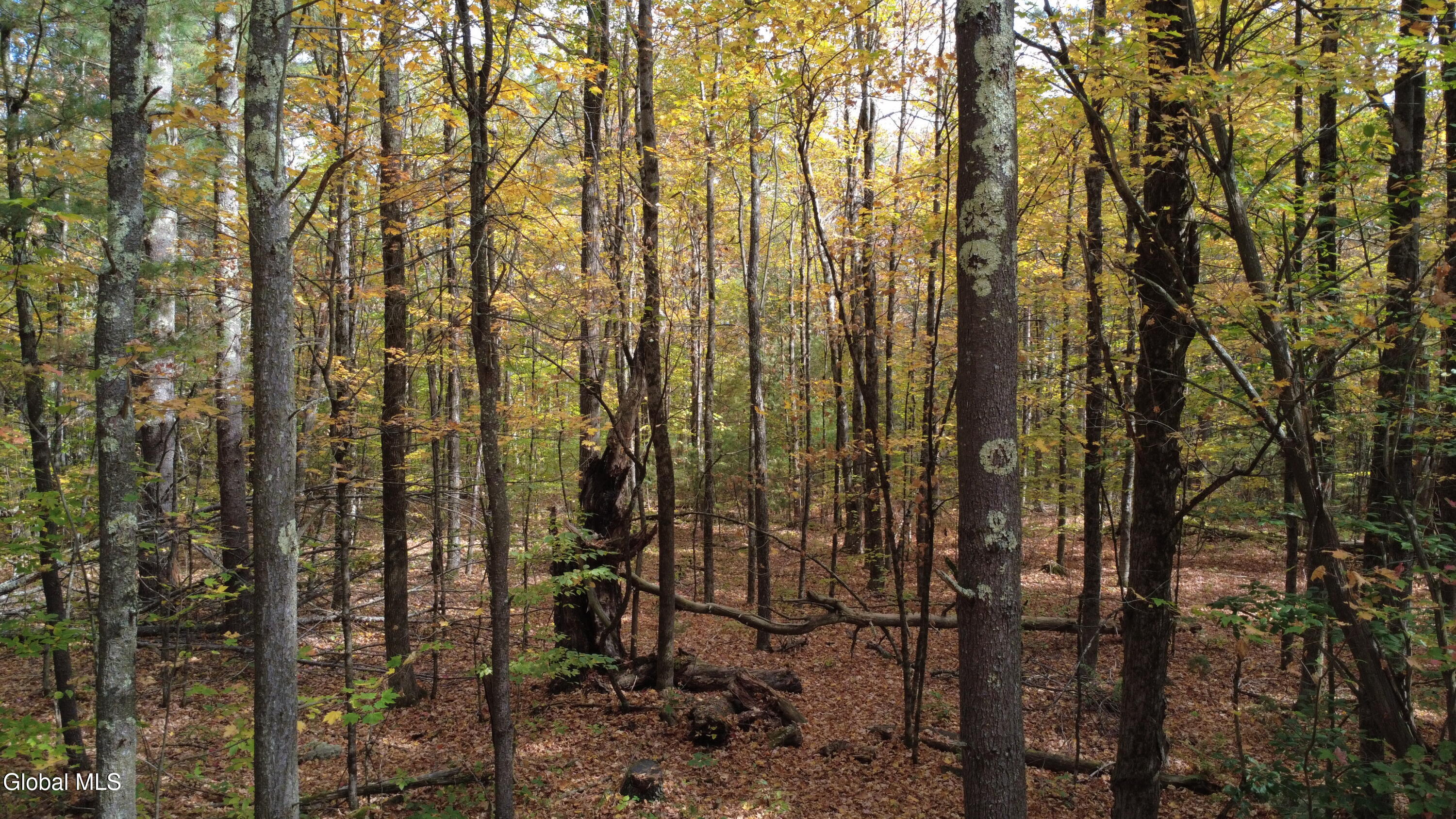 L1 Welch Road Jefferson, NY 12093 - Photo 14 of 15 DJI_0187