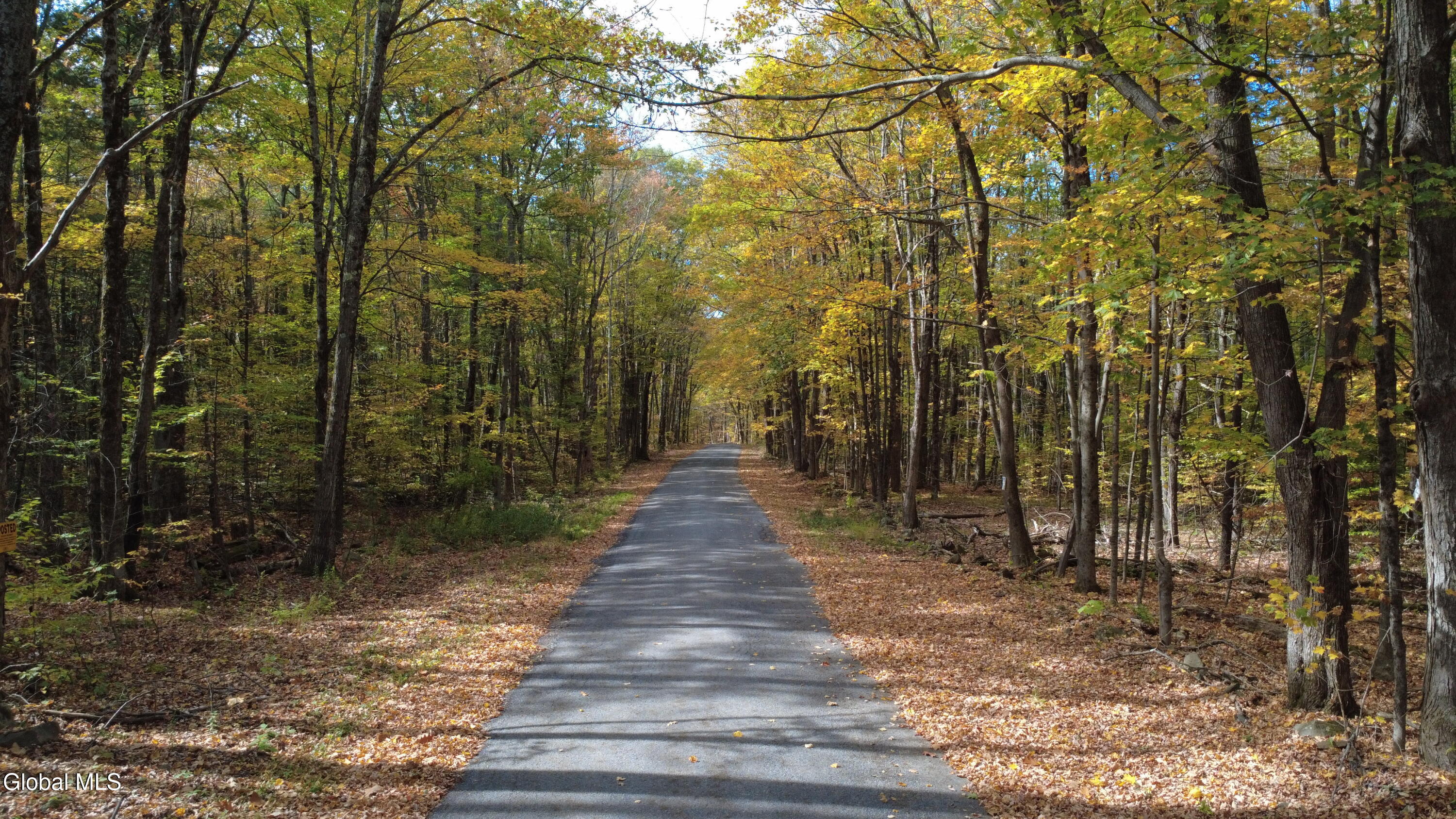 L1 Welch Road Jefferson, NY 12093 - Photo 2 of 15 DJI_0184