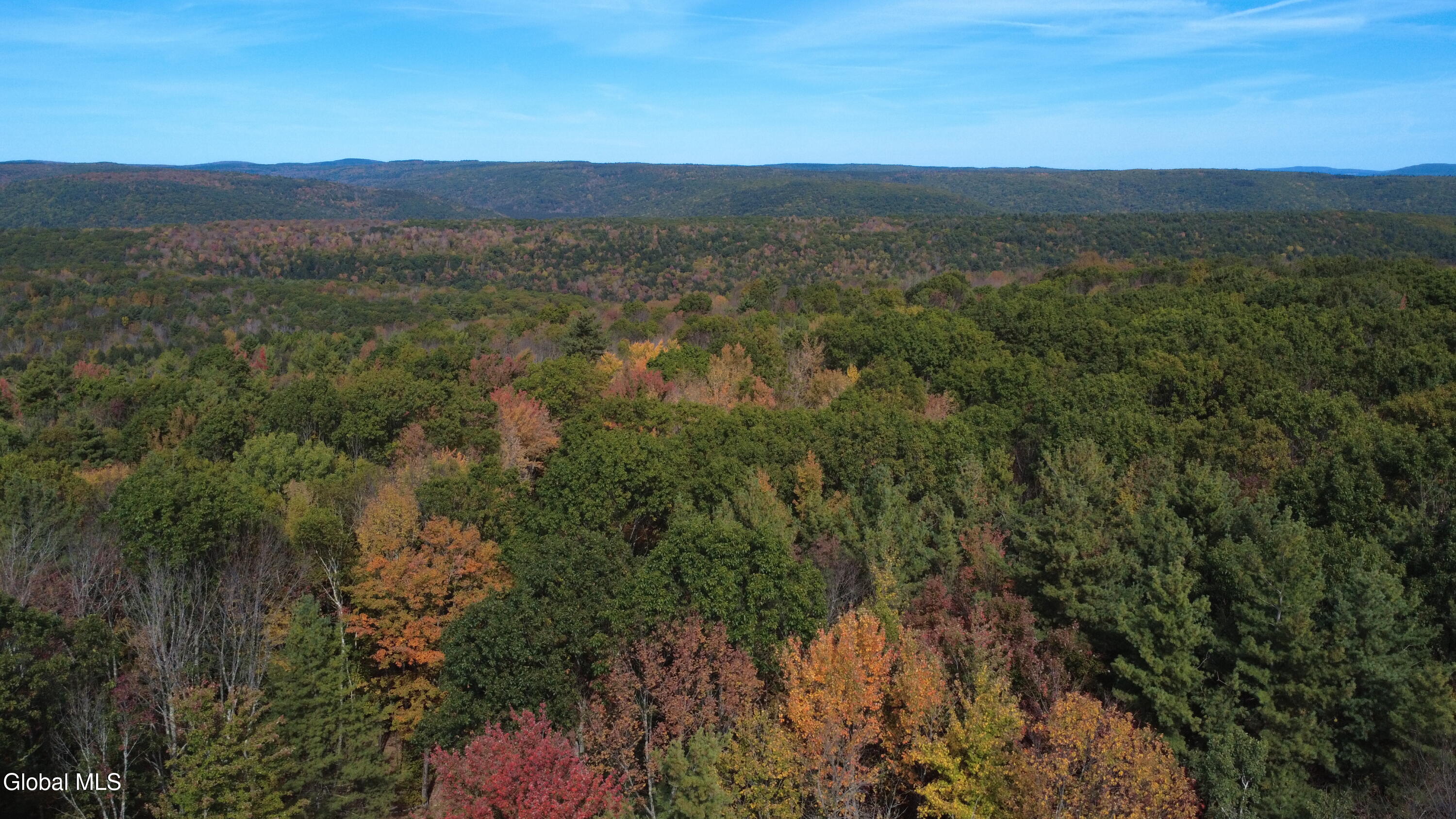 L1 Welch Road Jefferson, NY 12093 - Photo 4 of 15 DJI_0175