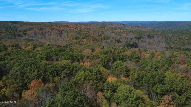 $99,000 | L1 Welch Road, Jefferson, NY 12093