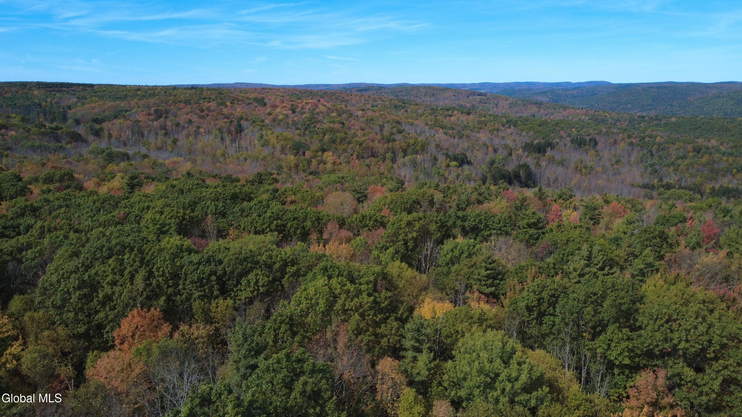 L1 Welch Road Jefferson, NY 12093 - Photo 5 of 15 DJI_0176