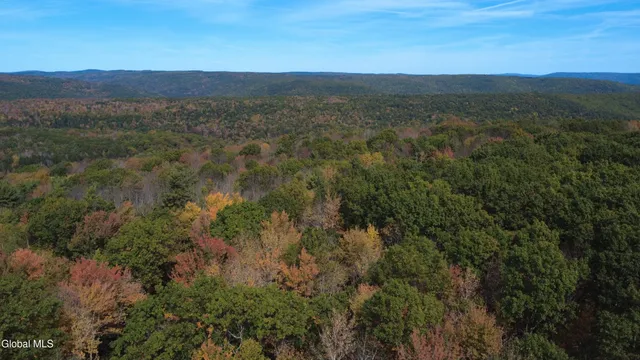 $99,000 | L1 Welch Road, Jefferson, NY 12093